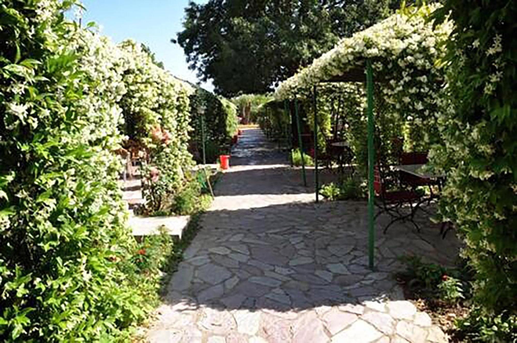 Buna Park Hotel Shkoder Ngoại thất bức ảnh